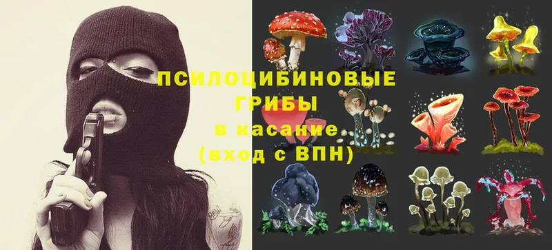 где купить наркоту  Приволжск  Псилоцибиновые грибы Magic Shrooms 