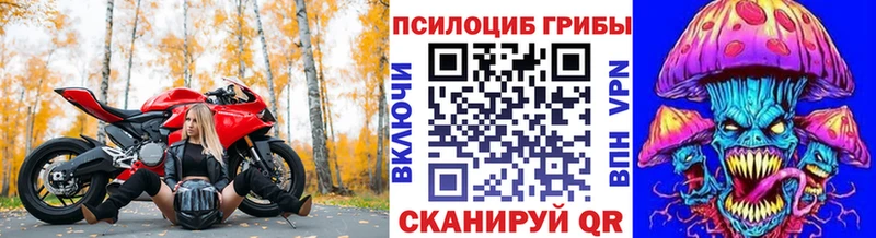 купить  сайты  Приволжск  кракен сайт  Псилоцибиновые грибы мухоморы 